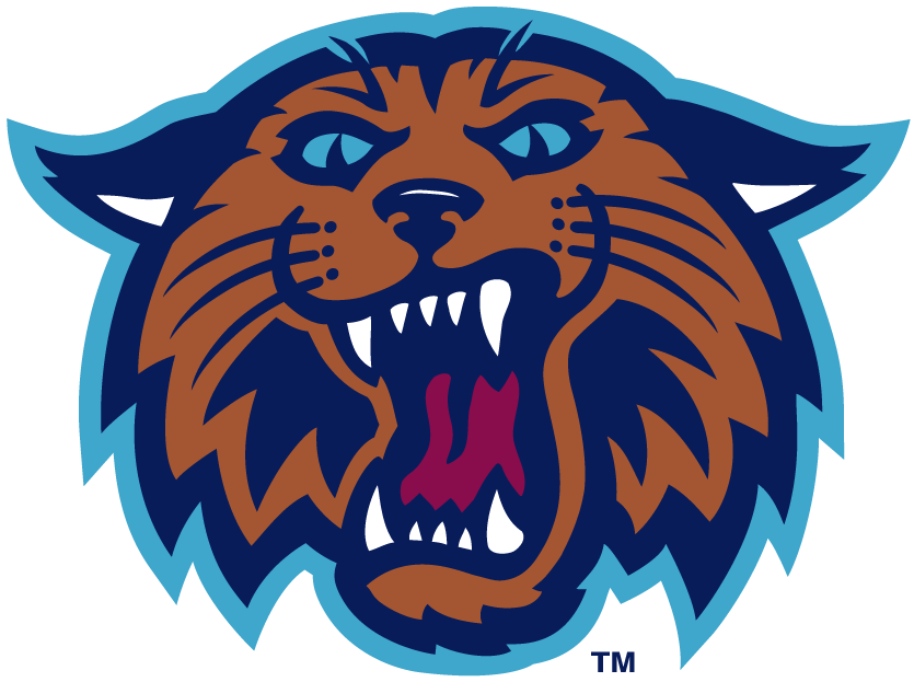 Villanova Wildcats 1996-2003 Alternate Logo v2 diy iron on heat transfer